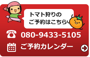 トマト狩りのご予約